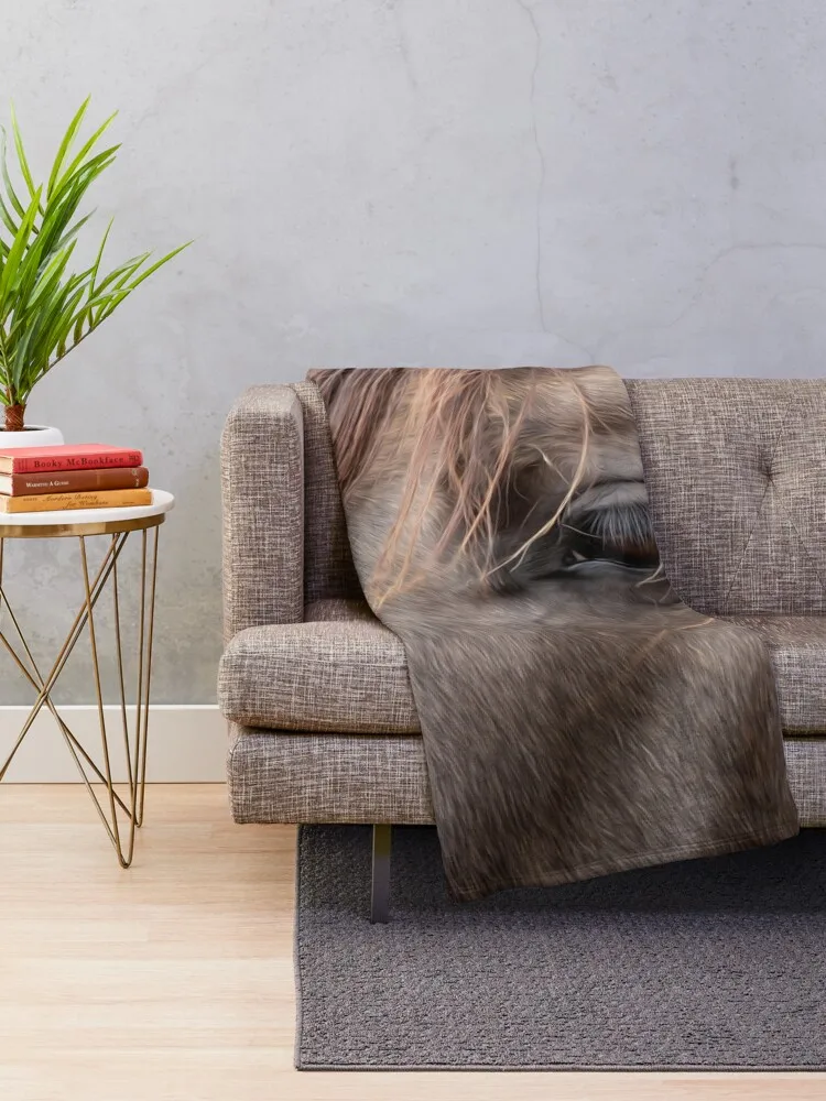 �� �� Ŭ����� ��ũ ���� ���� �� ������ ���, �ܿ� �ڽ����� �ִϸ��̼� ����, ������ ��� ������