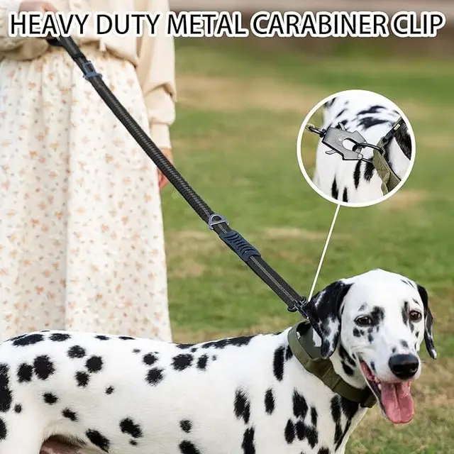 Reflective Shock Absorbing Pet Dog Leash with Car Seatbelt for Large Dogs Heavy Duty Tactical Bungee Dog Leash No Pull Dog Leash 4
