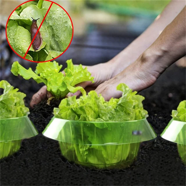 1/6/10 db Tartós Csigavédelem Zöldségek Borító Virágcserép -Gyár Csiga Gallérellátás Kerti Szerszámok - Image 2