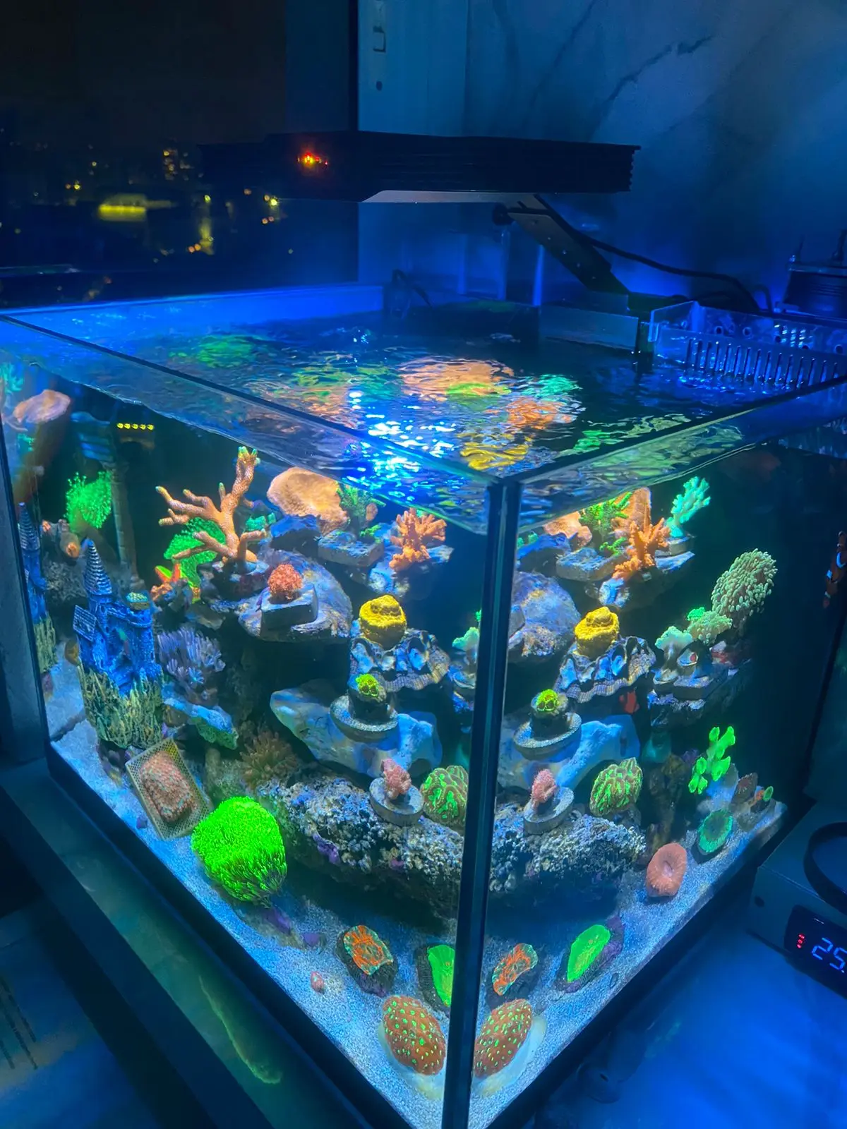 機器nano 水族館ライト52W,サンゴ礁水槽用のタッチコントロール付き 機器nano 水族館ライト52W，サンゴ礁水槽用のタッチコントロール付き