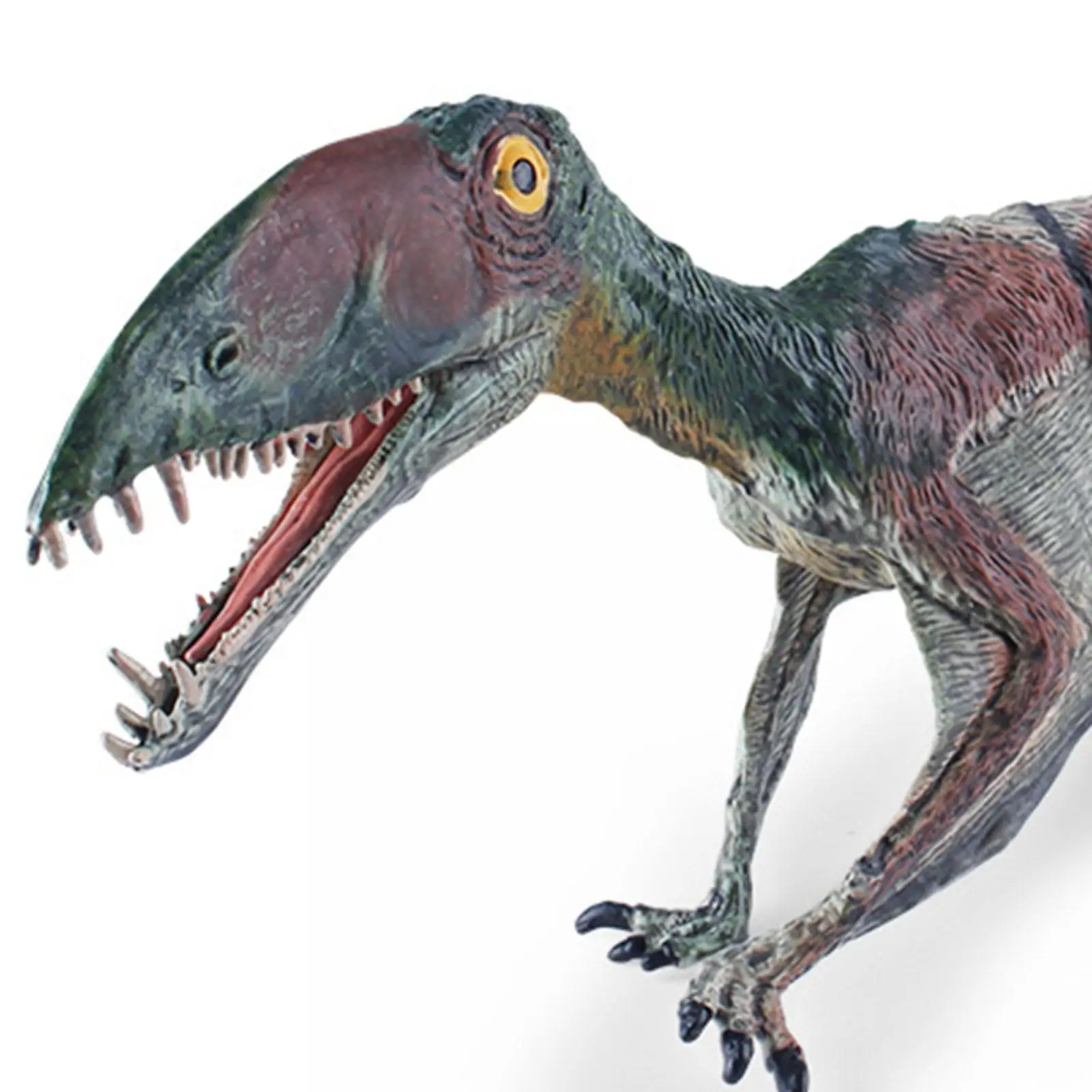 Pterosaur Figurines Toys, Desktop Decoration Action Figures Party Favor Collection Figure for Children Toddlers