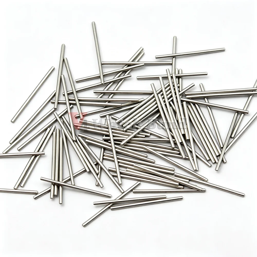 Set of 10 Stainless Steel Watchband Link Pins
