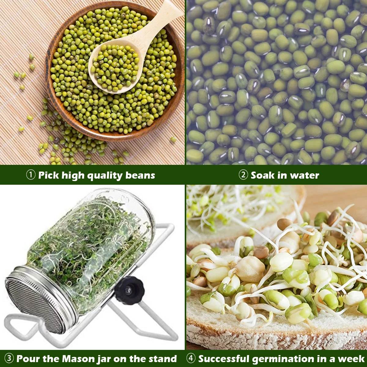 1/2 Pcs Seed Sprouter Germination Cover Stainless Steel Seed Sprout Can Lid Washable Wide Mouth Mason Jars Screen for Grow Bean