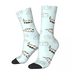 Funny Happy Appa Avatar The Last Airbender Basketball Socks Polyester Long Socks for Women Men Sweat Absorbing