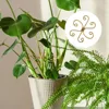 Iron Plant Stake Support Frame Flower Arrangement Tool for Lotus Wire and Plant Climbing Frame with Anti Fall Support Garden DIY 5