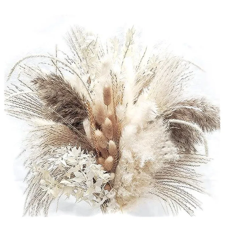 

80pcs Boho Pampas Bunny Tails Grass Natural Dried Flowers Bouquet Home Decor Floral Wedding Arrangements Free Shipping