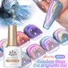 BORN PRETTY Rainbow Holographic Glass Cat Magnetic Gel 6PCS Transparent UV LED Nail Art Gel Semi Permanent Varnish Kit 1