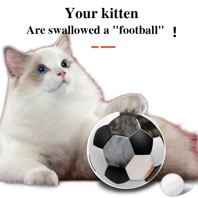 Pet cat hair cream kittens became general comprehensive nutritional supplement hair cream