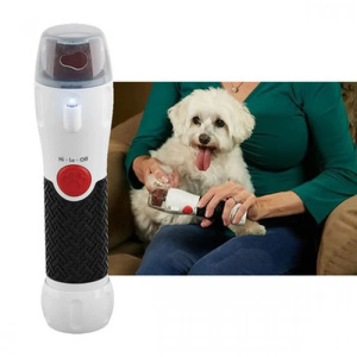 Can I Use Sandpaper On My Dogs Nails