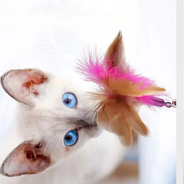 Cat Collar Interactive Toy Feather Teasing Cat Stick with Bell Cats Collar Toys Kitten Training Playing Teaser Wand Pet Supplies 5