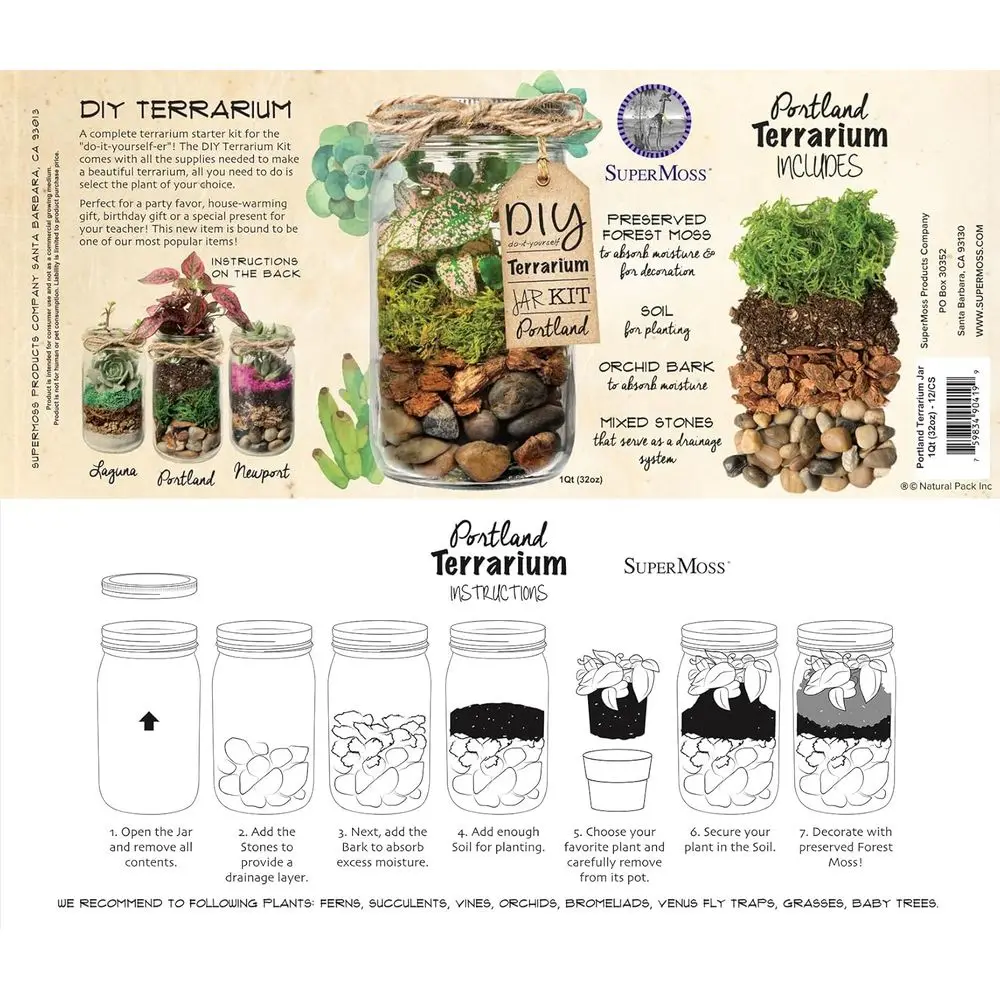 DIY Mason Jar Terrarium 5