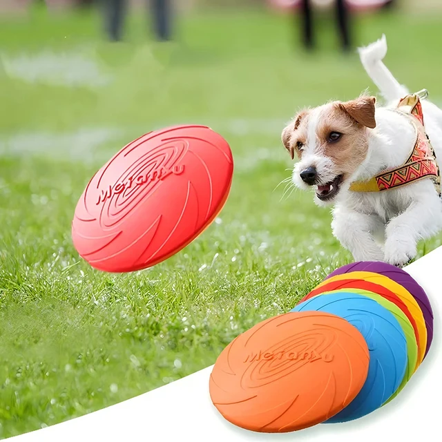 Jouets pour chiens, disque volant en Silicone, mode multicolore, jouets à mâcher résistants, jeu d'entraînement en plein air pour chiots, fournitures interactives 3 Jouets pour chiens, disque volant en Silicone, mode multicolore, jouets à mâcher résistants, jeu d'entraînement en plein air pour chiots, fournitures interactives 3