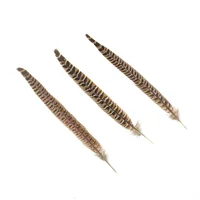 10pcs 25-30cm Natural Pheasant Tail Feathers 4
