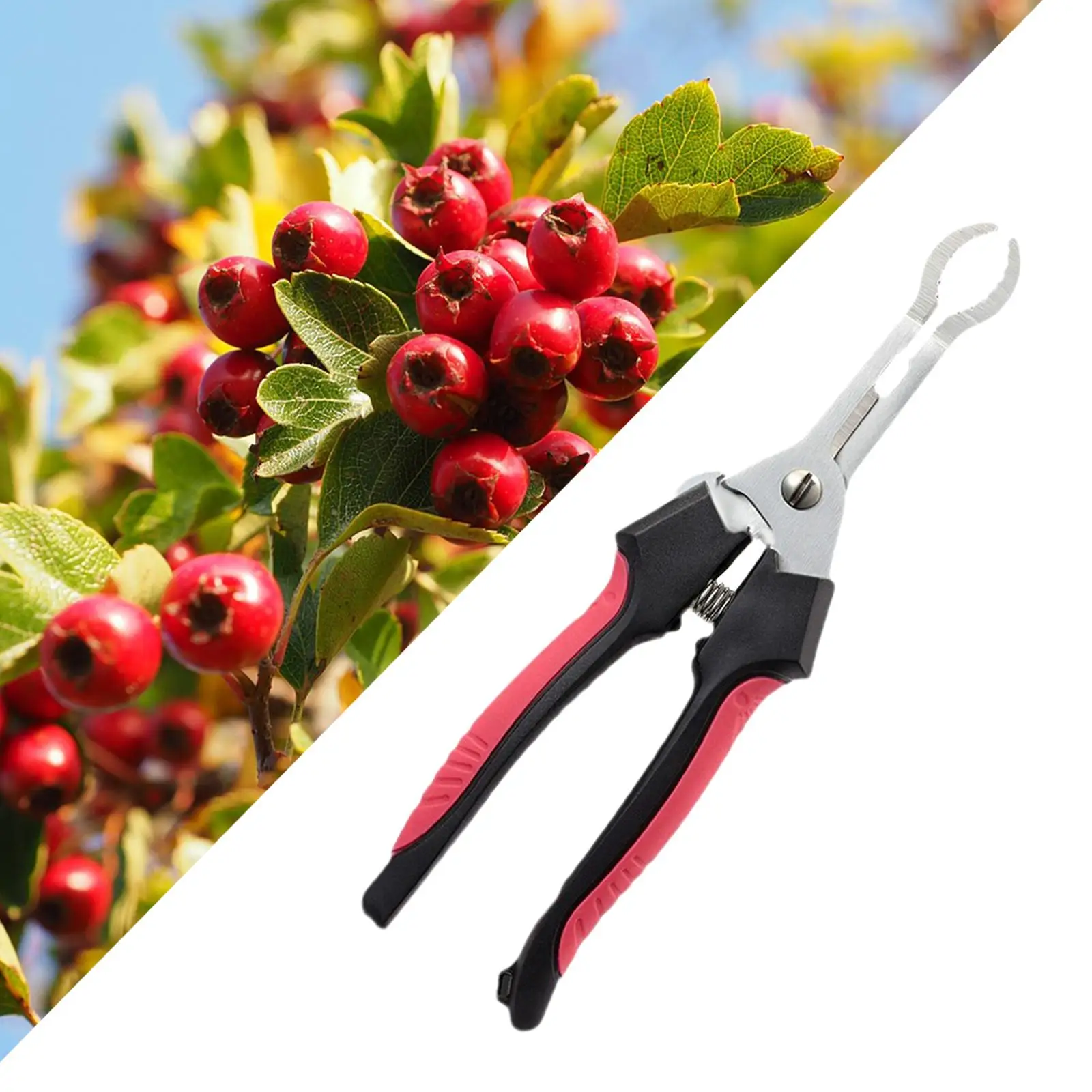 Red Jujube Hawthorn Plier Kitchen Gadget Easy to Use Multpurpose Fruit Core Remove for Home Jujube Hawthorn Kitchen Cherry