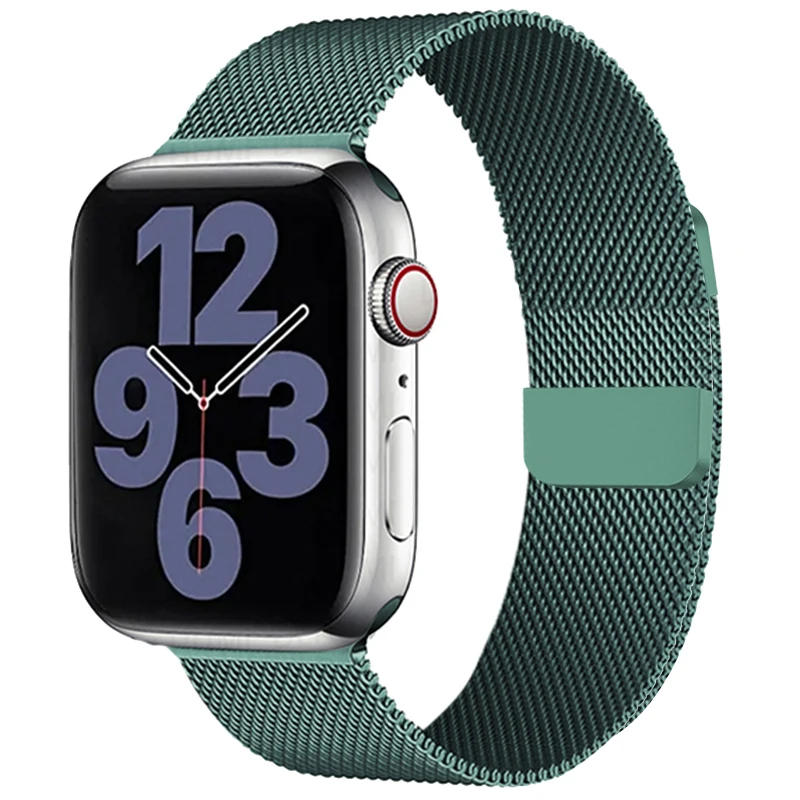 Luxurious Milanese Loop Metal Band