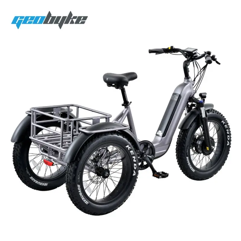 

2024 Electric Tricycle Adults OEM Customize Battery Powered Electric Trike Three Wheels