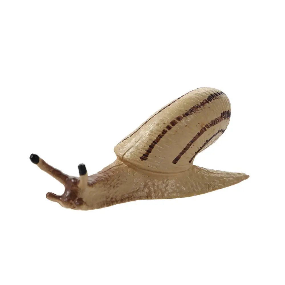 Realistic Early Educational Kids Cognitive Snail Growth Cycle Life Cycle Figures Cycle Mantis Figurine Praying Mantis Toy
