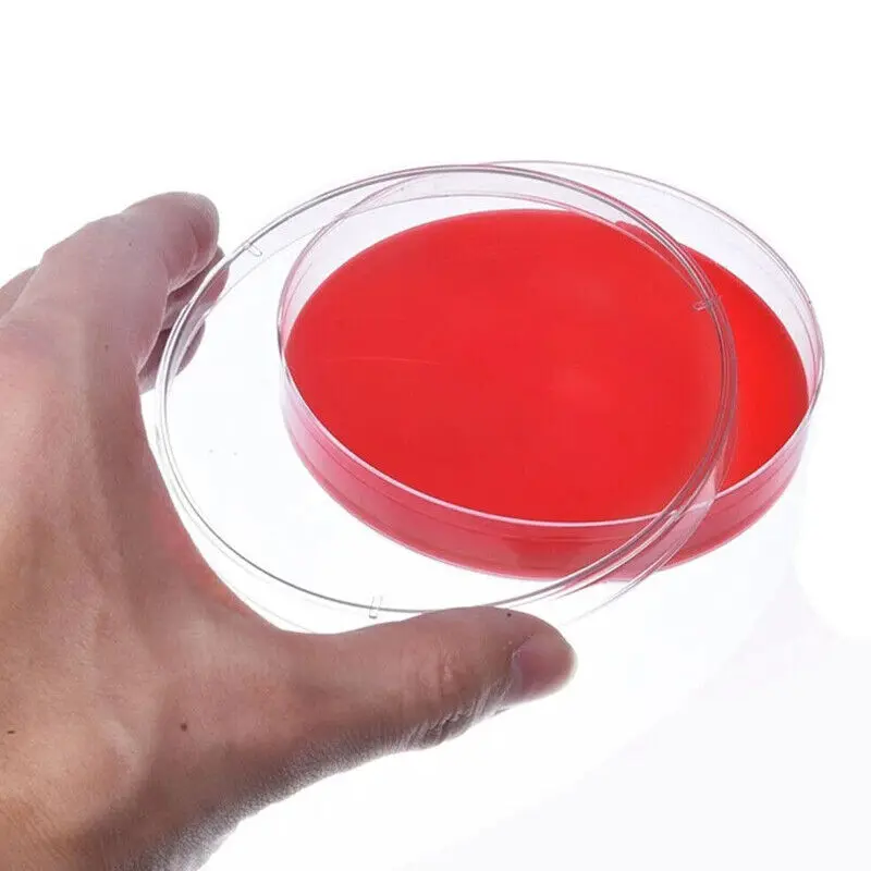 50Pcs Plastic Sterile Petri Dishes Bacteria Culture Dish with Lids 90x15mm for Laboratory Biological Scientific School Supplies petri dishes
