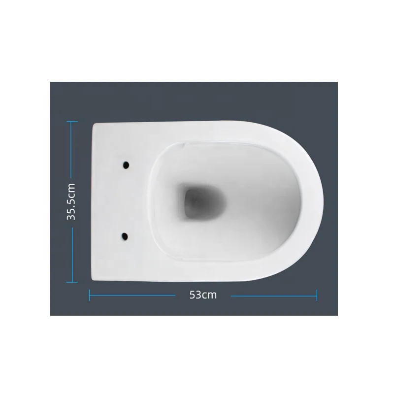 Complete Toilet Set with Wall Hung Toilet, Dual Nozzles Cold Water Soft Closing Seat Cover, Concealed Cistern and Flush Button