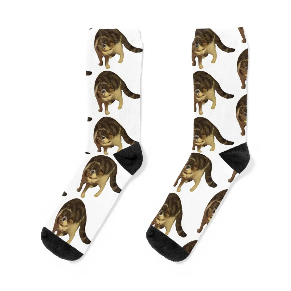 

HD Loading Cat Meme Socks professional running Children's funny sock heated Women's Socks Men's