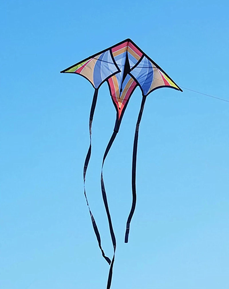 free shipping flying blades giant outdoor games colorful flying kites windsurfing shield kite outdoor fun eagle kite parachute 2