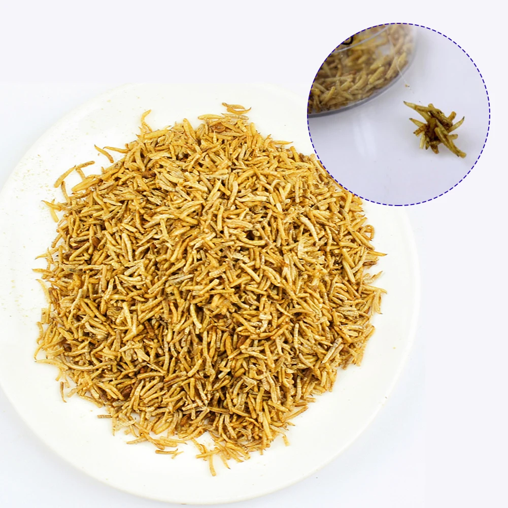 100g High Protein Dry Bread Worm Maggots Insect Baits Protein Live Bait  Carp Fishing Groundbait Additive Iscas Pesca Fish Tackle - AliExpress