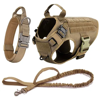 Collars & Leashes
