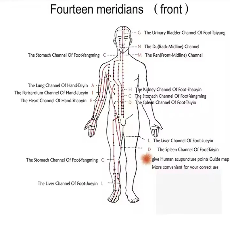 6 channels Electric Hwato SDZ-4 Low-Frequency Electro Acupuncture Stimulator Acupuncture Needle Treatment for Nerve and Muscle