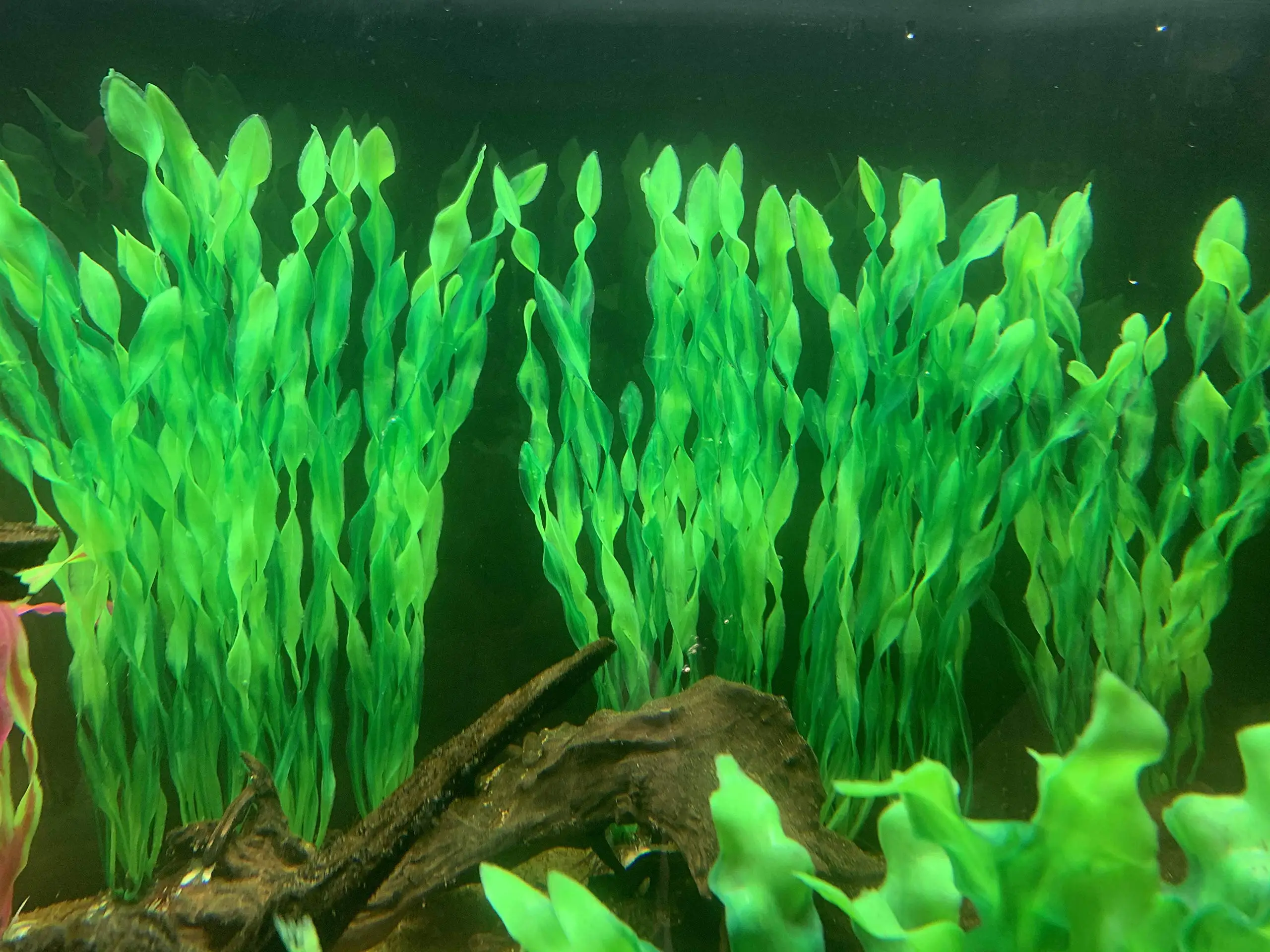 Artificial Aquarium Plants Pack 6