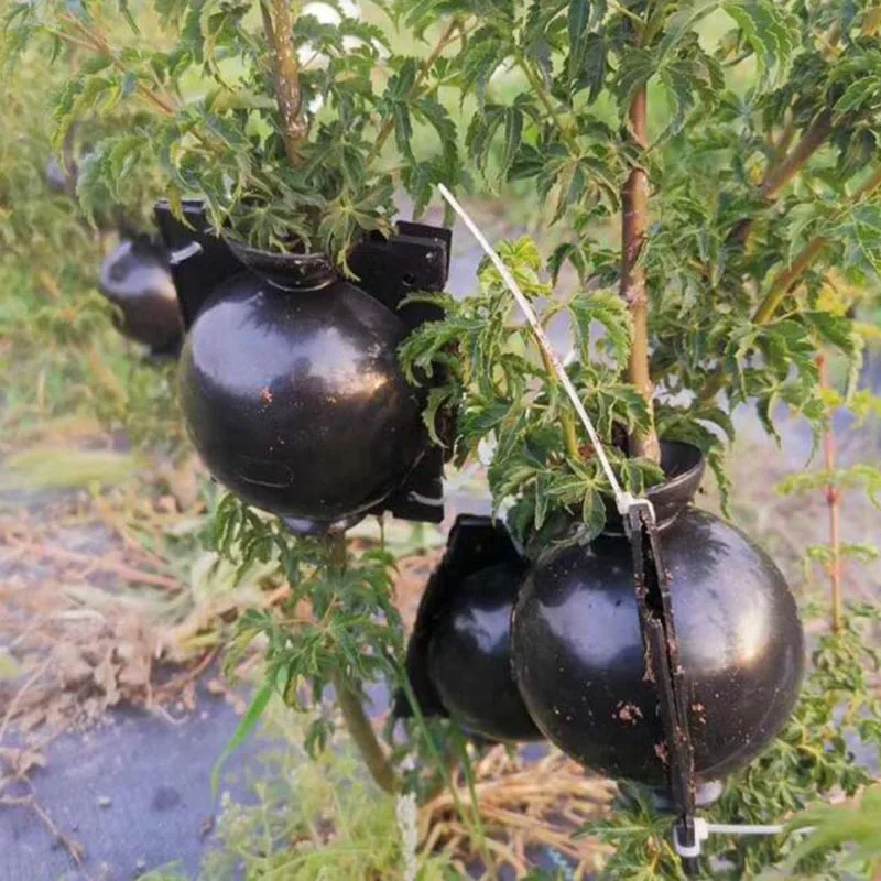 Fruit Plant tree Rooting Ball Root box plastic case propagation Box Grafting Rooter Growing High-pressure breeding ball