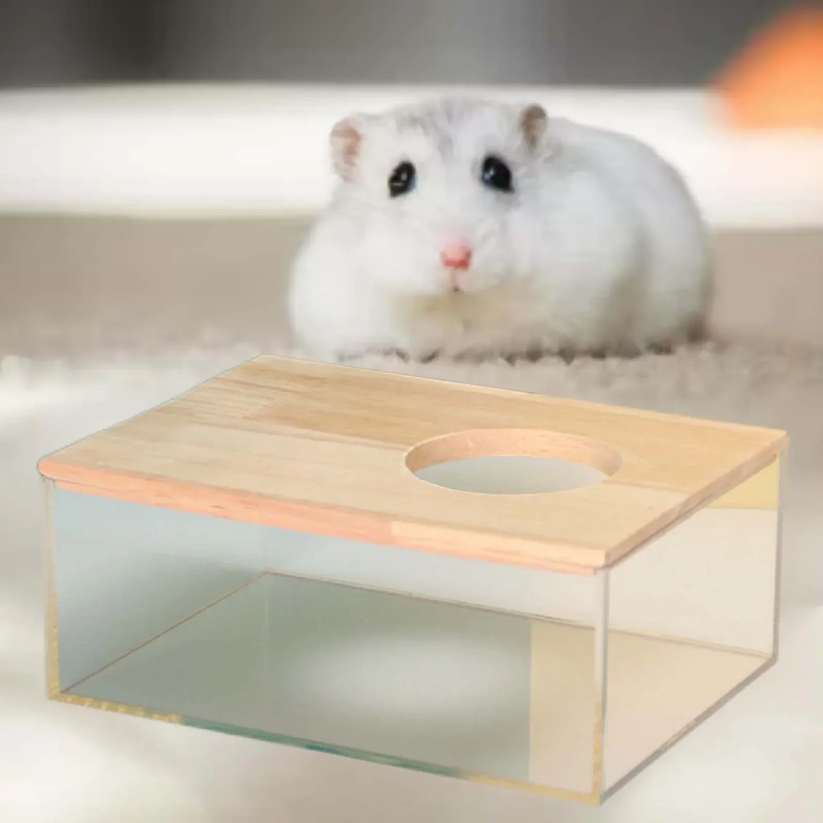 Hamster Bathroom House Sandbox Full Transparent Urine Sand Basin Golden Bear Supplies Sand Bath Container Small Pet Bathroom 햄스터
