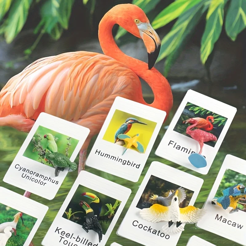 Montessori Animal Matching Cards 6