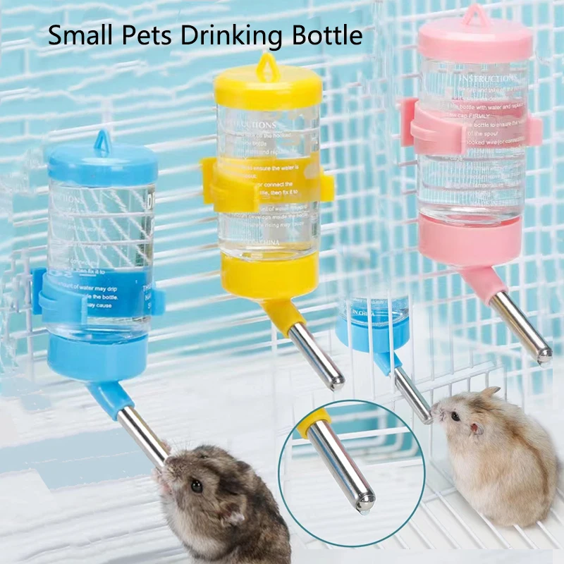 What Do Hamsters Drink sandd.co.th