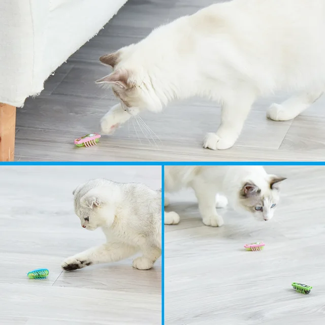 Funny Electric Bugs Catnip Toy Automatic Tunnel Mini Robot Bug Vibration Insect Toys For Cats Battery Operated Cockroach Ladybug 2