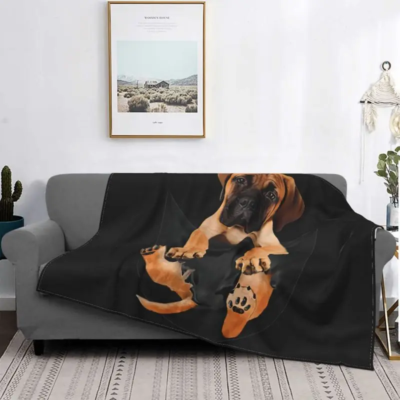 Bullmastiff Dog In Pocket Coperta Home Classic Sul Divano Skin Friendly Family Spese