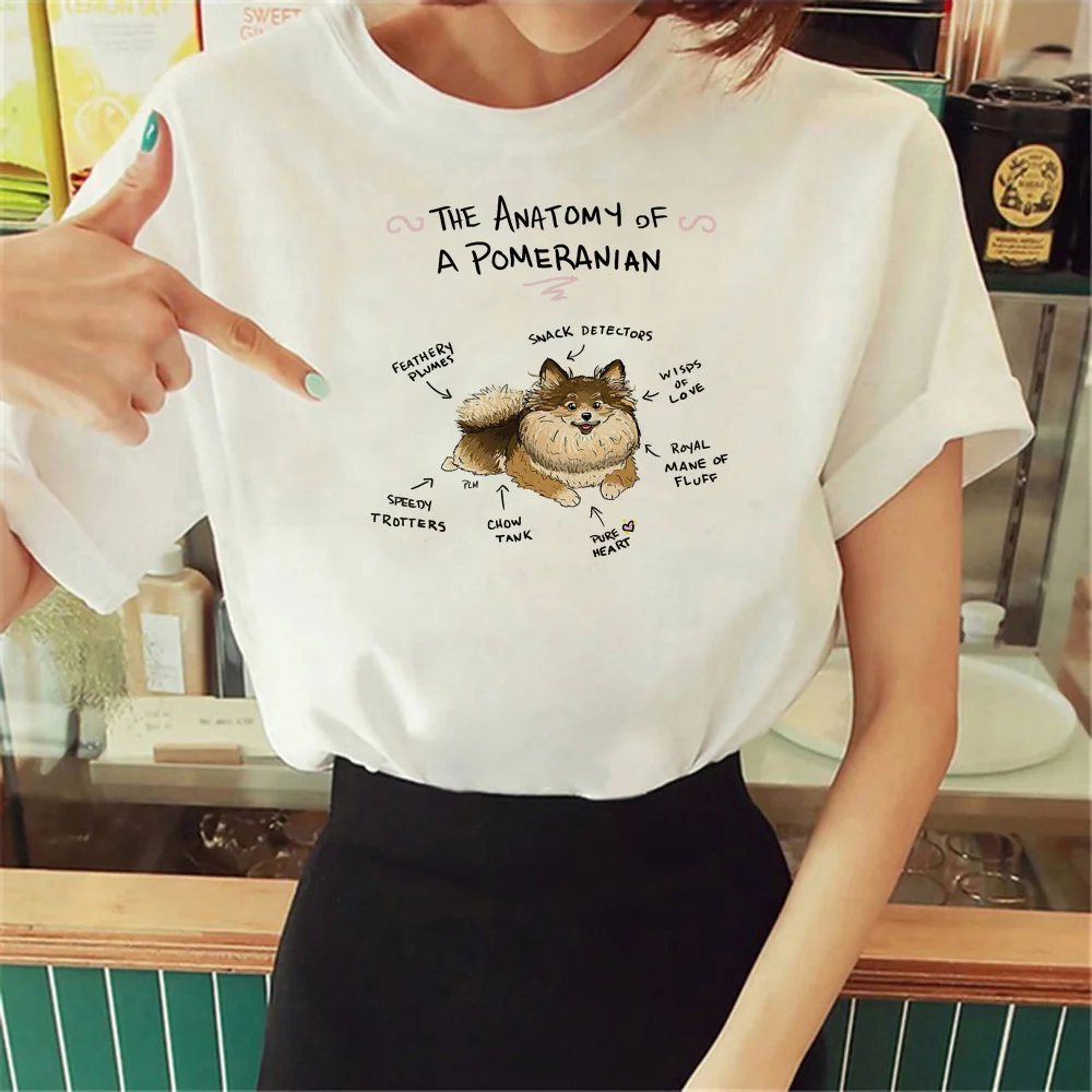 

pomeranian