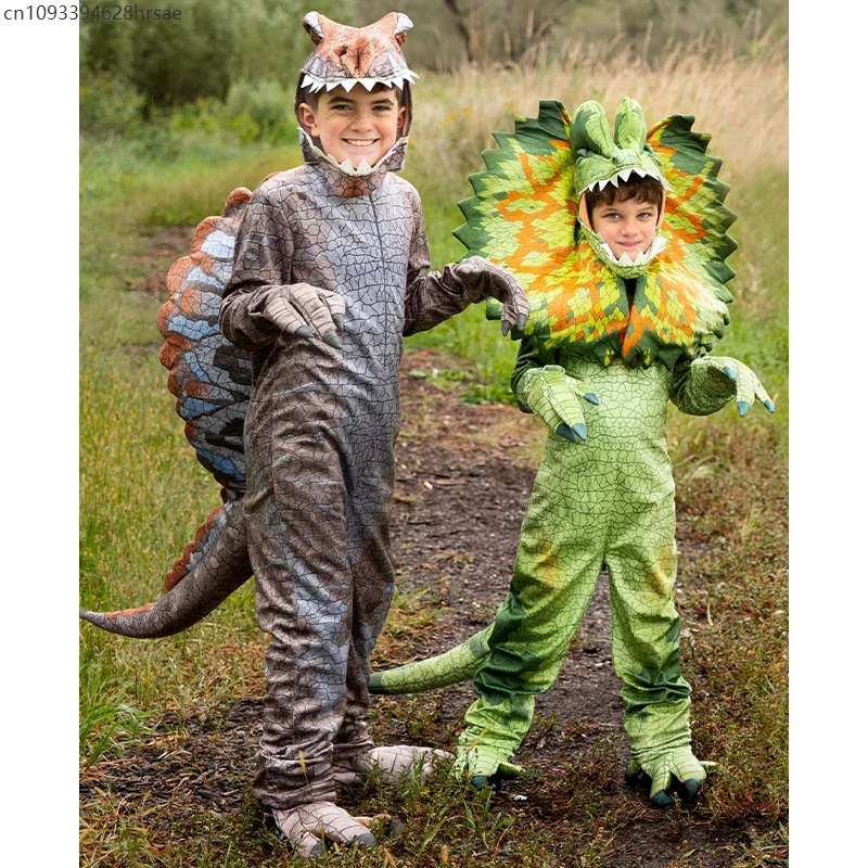 Boys Dinosaur Costume Set 2