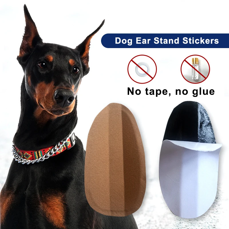 DogEarSupportStickerPuppyErectionEarCorrectionToolDoberman