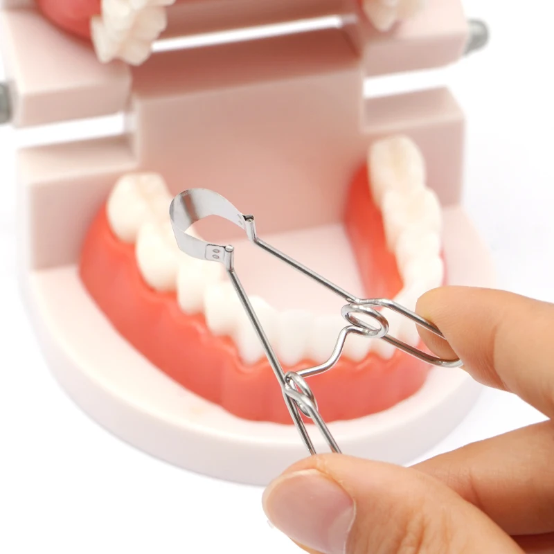 Dental Matrix Sectional Contoured Metal Matrices  with Springclip No.1.330 Band Resin Clamping/Seperating Ring Dentist Tools