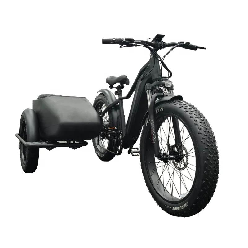 

E bike Side Car Adult electric tricycle bicycle 3 wheel ebike cargo trike 750w hidden lithium battery etrike sidecar