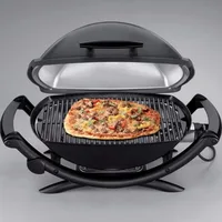 Grey, Q2400 Electric Grill 1