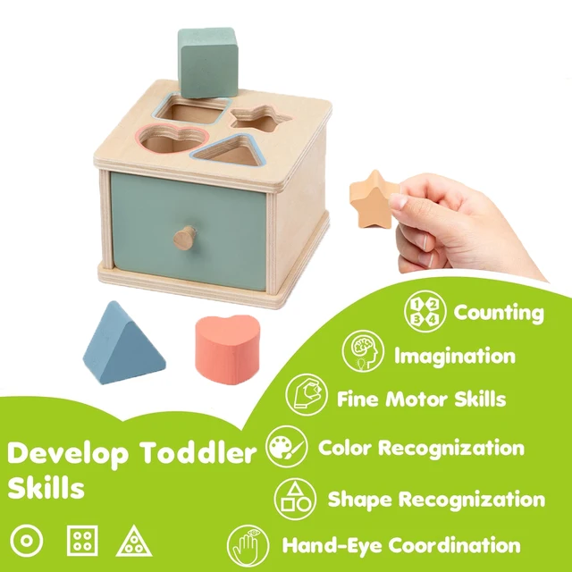 Wooden Montessori Coin Box 3