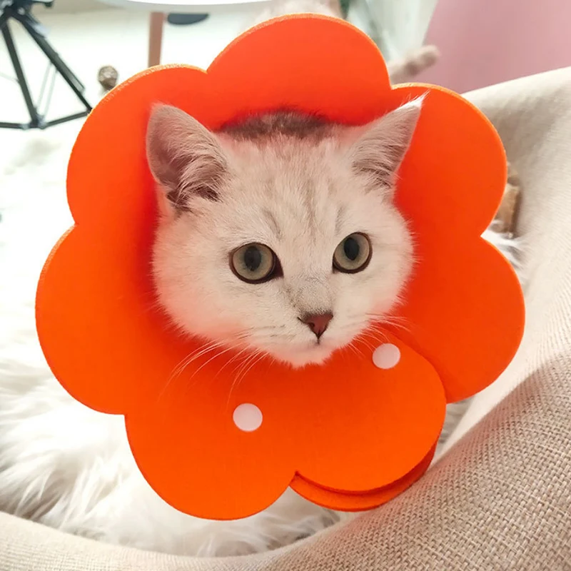 Title 11, Flower Shaped Elizabethan Cat Recovery Collar C...