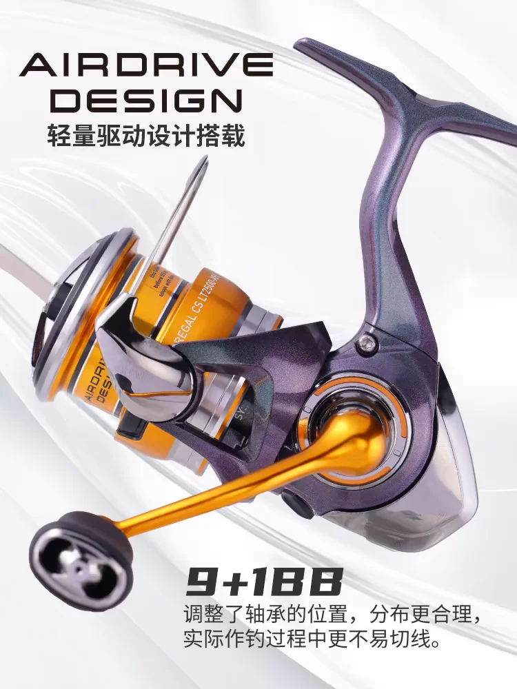 dsc-products