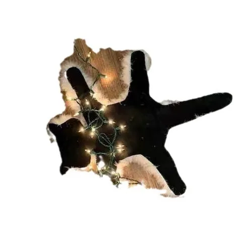 Floor Mat Light Up Fried Cat Rug Christmas Decoration Carpet