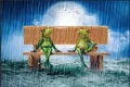 107 frogs