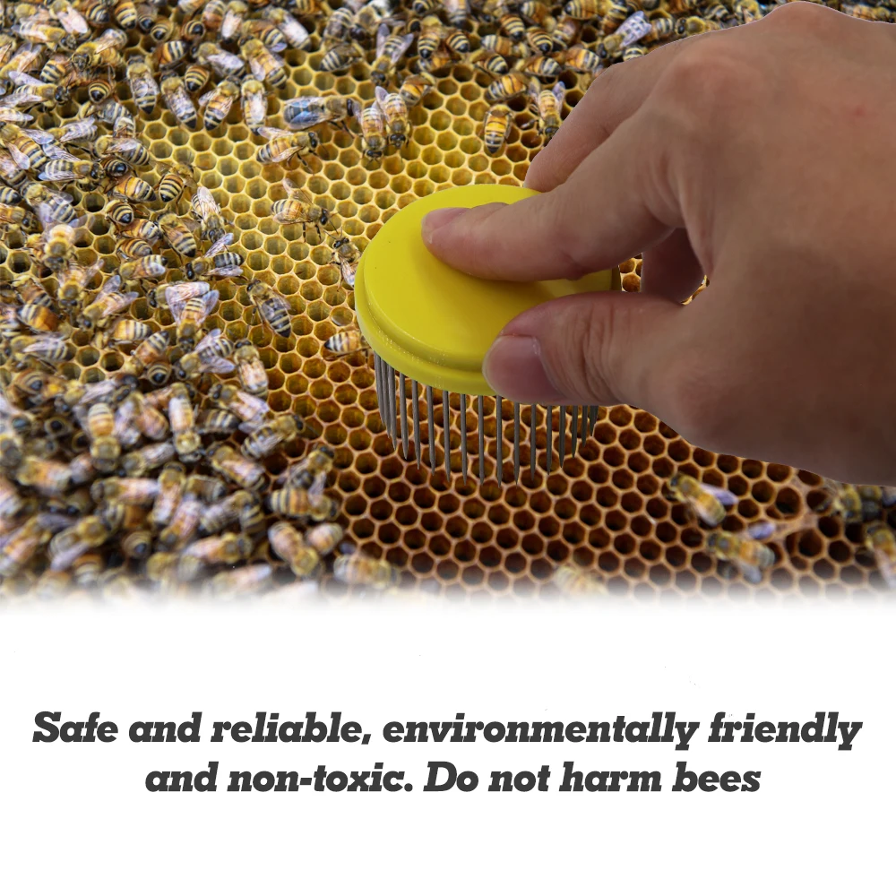 2-10Pcs Beekeeping Tool Stainless Steel Needle Queen Bee Cage Isolation Box Beehive Rearing Cover Catcher Beekeepers Equipment beekeeping tools beekeeping accessories