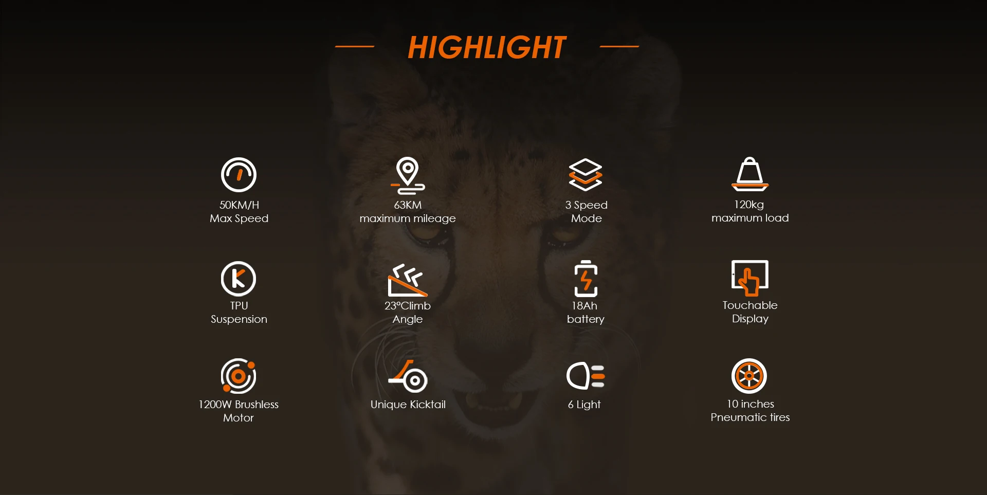 S68d813dca4d54c09aa19e0ac03f4bb01X