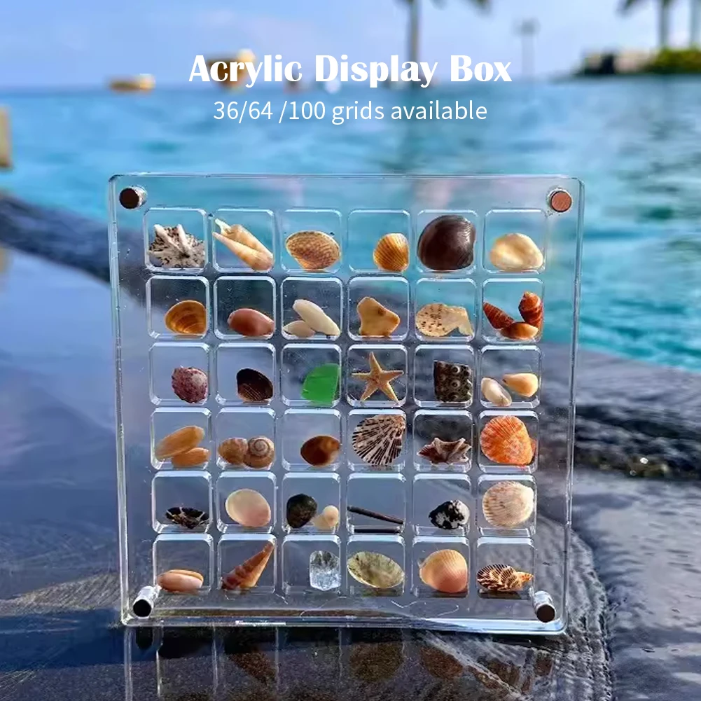 Description Picture 2 of item1Pcs Clear Acrylic 12x12cm Magnetic Seashell Display Box Seashell Display Box Diamond Storage Box Decorative Ornaments