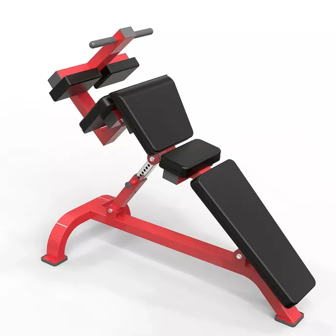 Adjustable Gym Workout Bench Press, Abs Bentch Incline Flat Exercise Dumbbell, Weight Bench